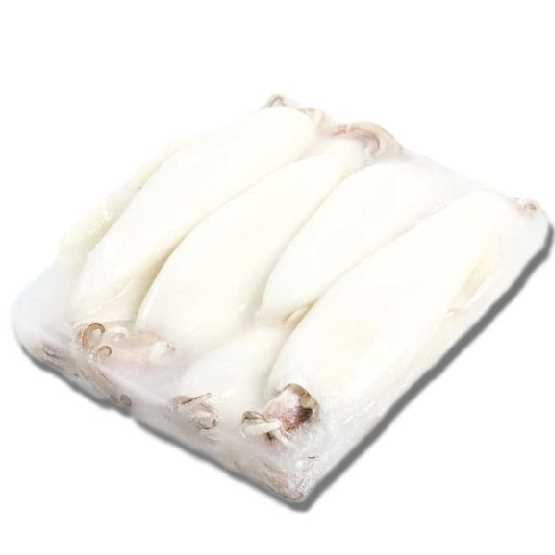 Calamari puliti. Origine: India. Taglia: U5